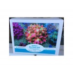 Korallen-Zucht Reefer´s Bio Reef Salt Premium Quality